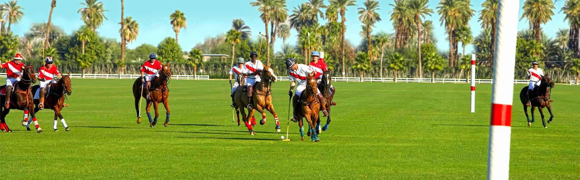 Polo Game in Lakewood Ranch