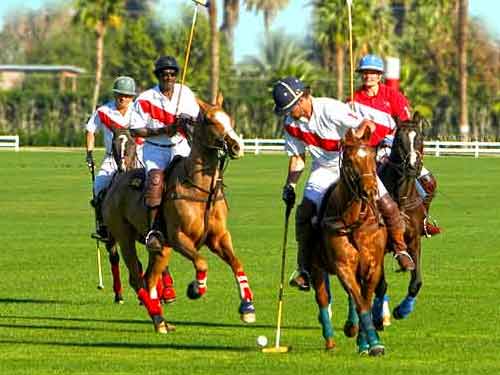Polo Game at LWR